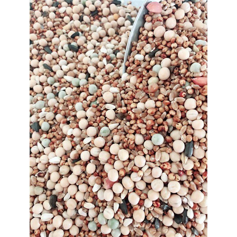 50鸽粮无玉米斤赛飞营养饲料鸟食信鸽观赏鸽肉鸽赛鸽粮鸽子食包邮