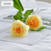 杯花型高级玫瑰昆明基地直供批发新鲜现采 奶油奥斯丁玫玫瑰