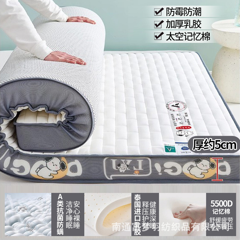 南通海绵乳胶记忆棉床垫软垫家用宿舍学生单人加厚榻榻米厂家垫子