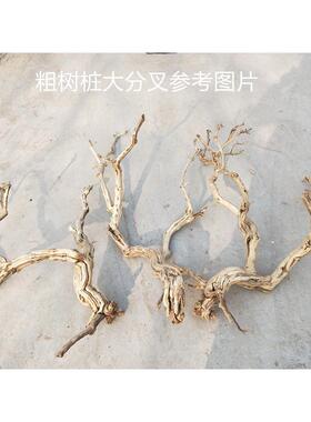 p616去皮造型玄关屏风装饰树干枝枯树杆龙骨造景树树枝摆件霸王歪