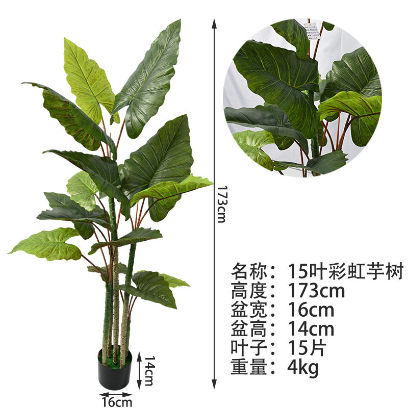 大型树绿植芋树 室内高端落地盆栽植物彩虹芋仿生仿真树人造假树