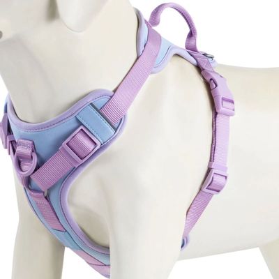 Splicing Colors Breathable For Medium No Pull Dog Harness fo