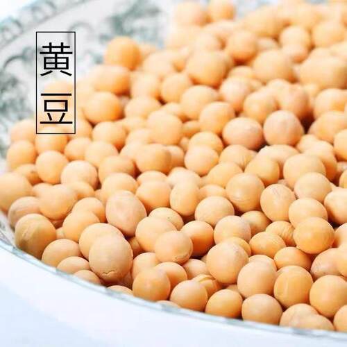 东北黄豆打豆浆专用非基因改造大豆农家发豆芽杂粮黄豆杂粮