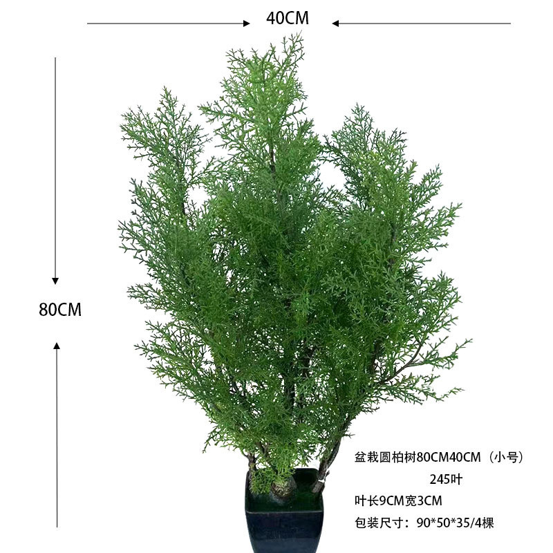 仿真植物盆栽圆柏树绿植圣诞叶盆栽造景罗汉松盆栽室内装饰柏树