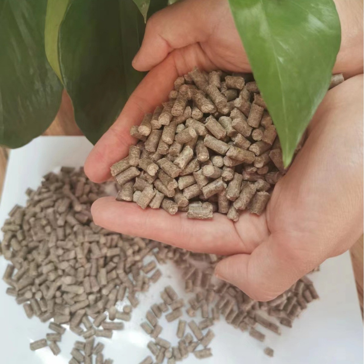 用大豆活性菌发酵大豆腐熟大豆果蔬发酵肥有机肥土壤改良剂