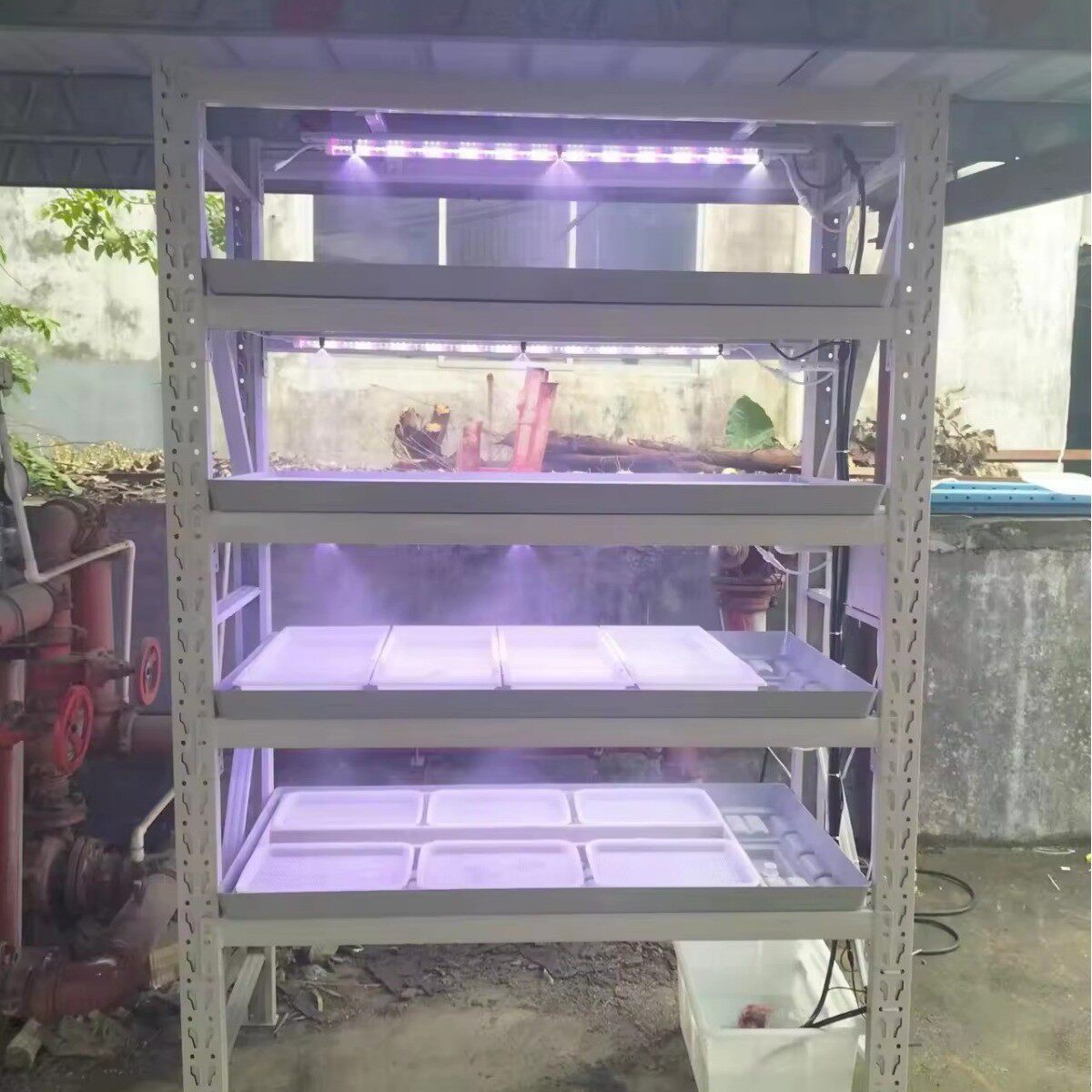 设备机室内无土栽培蔬菜设备水培蔬菜种菜种植机多层种植架定制,鲜花速递/花卉仿真/绿植园艺,花盆,淘宝优惠券,粉丝福利购,淘宝优惠卷