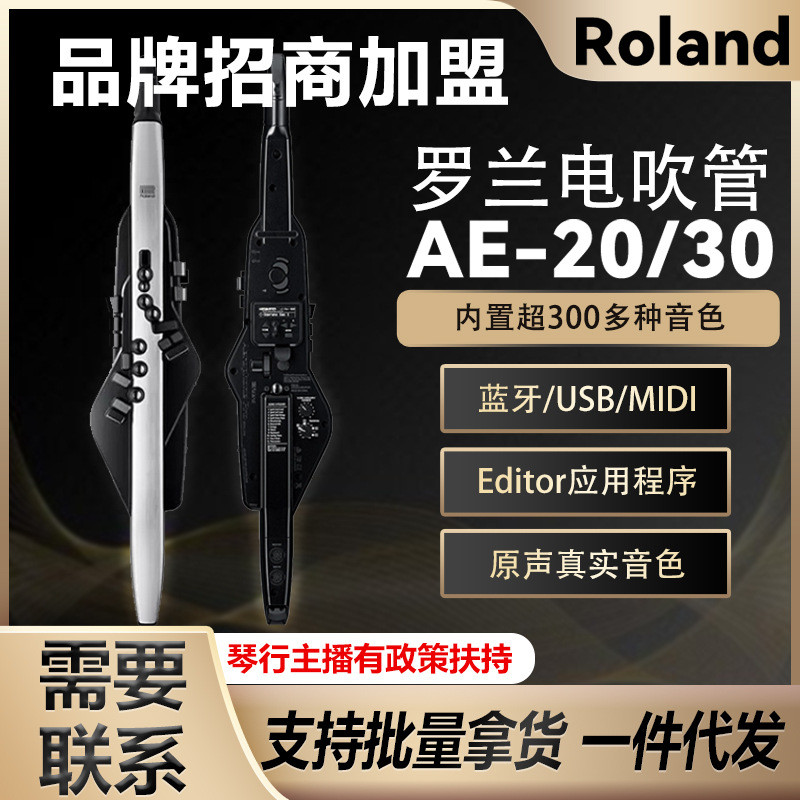 Roland罗兰电吹管乐器AE20中老年人娱乐初学AE30电子萨克斯葫芦丝