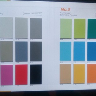 pvc地板大巨龙no2纯色地胶塑胶幼儿园舞台展馆耐磨防滑阻燃商用