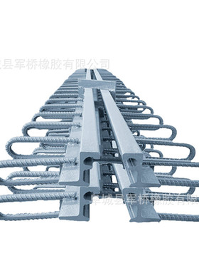 公路桥梁伸缩缝c40多向变位梳齿板伸缩伸缩缝异型钢模数式型装置