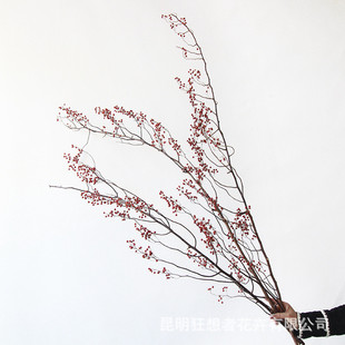 干枝者新品【山归来干枝】侘寂风家居客栈干花狂想软装饰