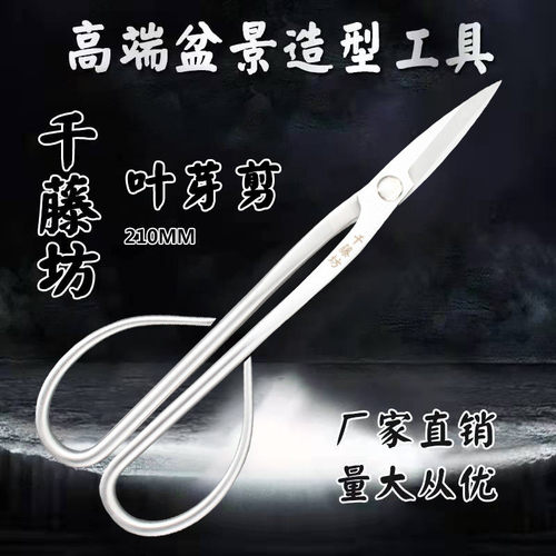 千藤坊210mm不锈钢叶芽剪分嫩芽修剪兰花细枝苗厂家直销量大从优