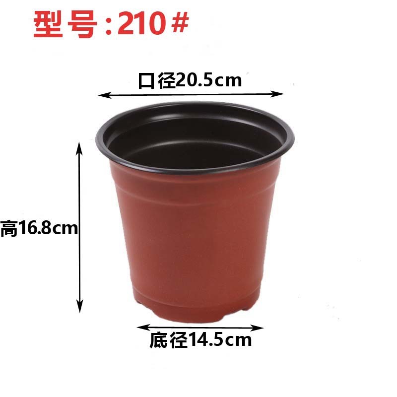 育苗双色花盆塑料多肉育苗盆大口径大号基地育苗小花盆厂家批发