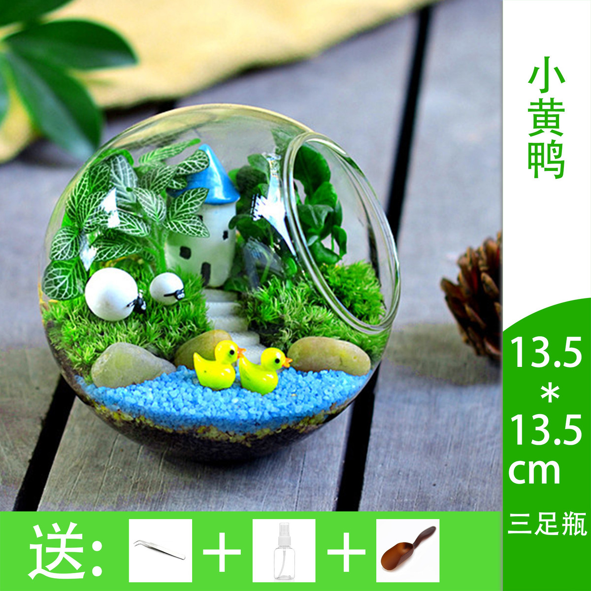 创意礼品迷你微景观玻璃瓶套装办公室绿植diy苔藓盆栽批发