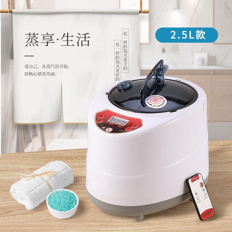厂家批发 熏蒸机 家用蒸脚 桑拿蒸汽机2.5L 足疗 熏蒸仪 沐浴理疗