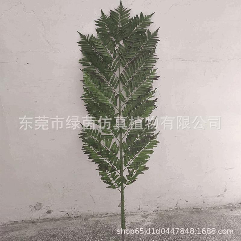 仿真绿植沙罗双娑罗双、波罗叉树叶/摩诃娑罗树、圣树、萨尔树