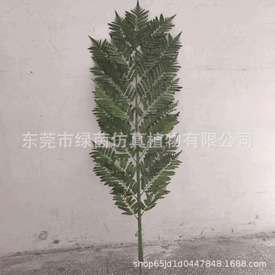 仿真绿植沙罗双娑罗双、波罗叉树叶/摩诃娑罗树、圣树、萨尔树
