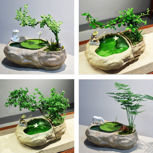 水陆组合盆景植物绿植文竹六月雪福建茶造型艺术雀梅盆栽室内水景