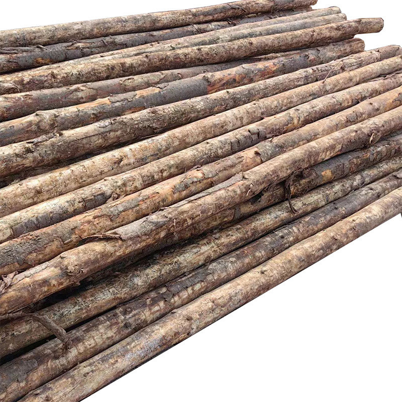 澳松打桩木防汛木桩澳松原木批发木方供应各种河道工地打桩原木材