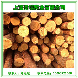 落叶松木桩装饰圆木小木景观装修木桩落叶松现货供应坑木