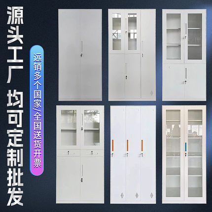 通玻对开文件柜办公室a4整理收纳柜财务凭证柜带锁铁皮更衣柜天津