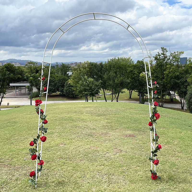 葡萄架植物攀爬铁线莲蓝雪花月季拱形拱门花架爬藤架支架户画文伍
