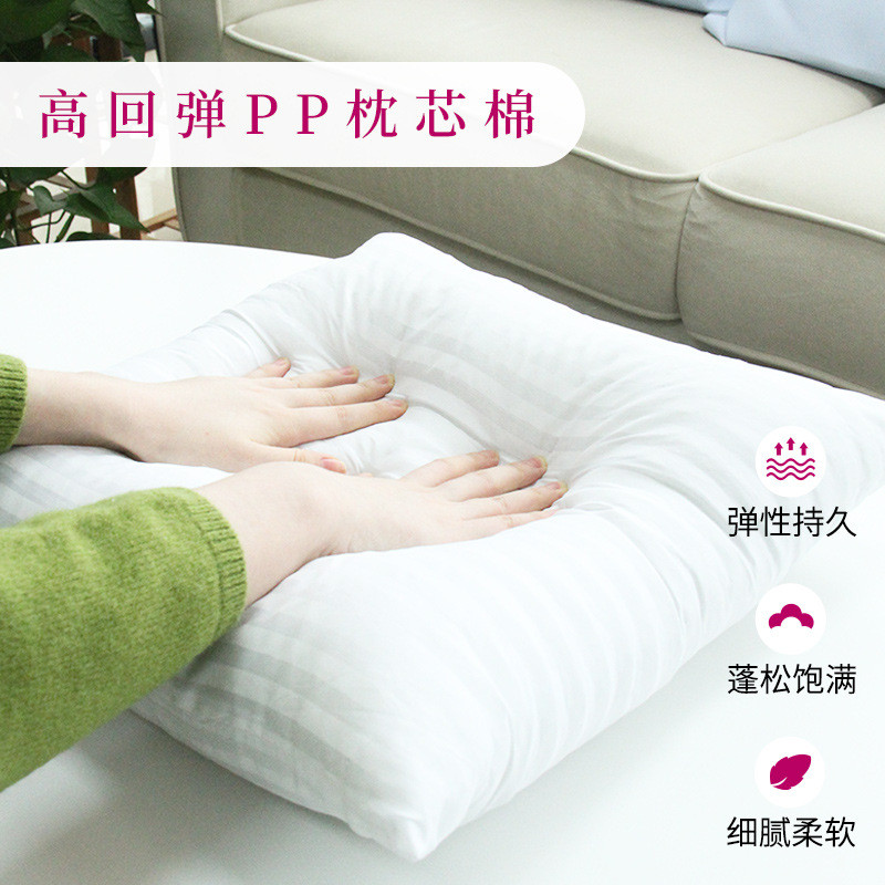 alj6抱枕十字绣2021新款线绣刺绣放的自己绣送男朋友情侣一对车里