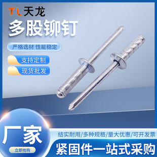 8双股铁拉钉拉铆钉结构镀锌多股铆钉 抽芯铆钉多股拉钉圆头卯钉4