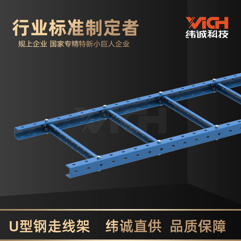 纬诚科技多孔U型钢走线架 机房基站布线支撑专用高承重梯式桥架,电子/电工,其它,淘宝优惠券,粉丝福利购,淘宝优惠卷