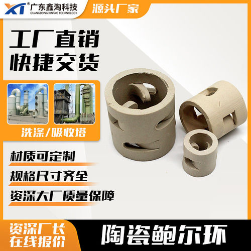 陶瓷环25mm/38mm50mm/80mm耐腐蚀耐高温鲍尔鲍尔环
