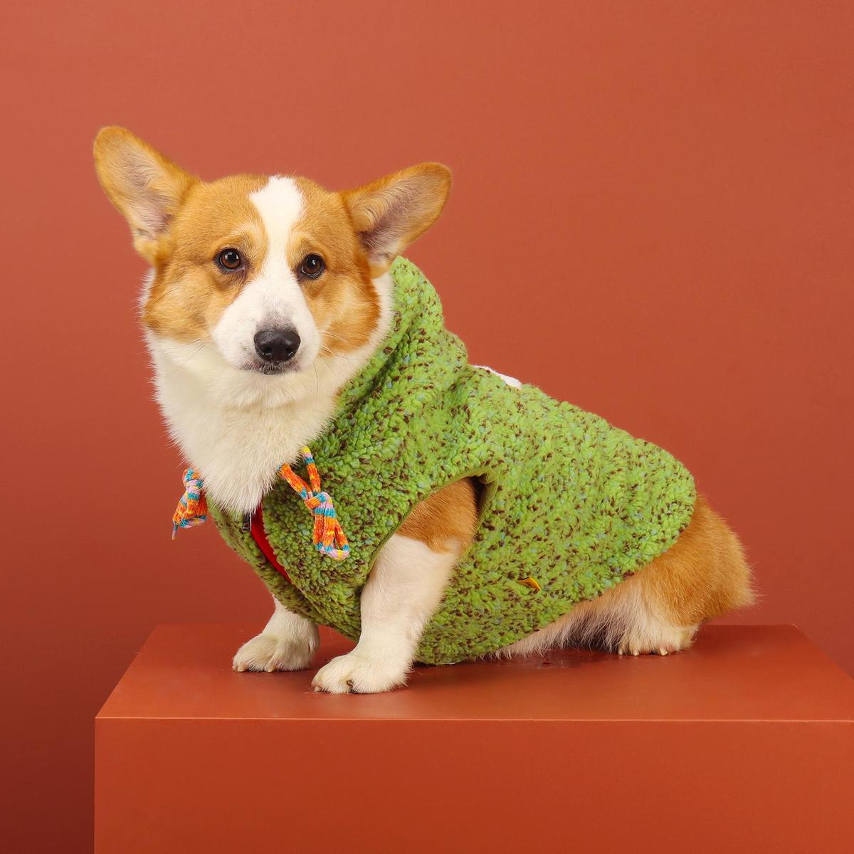 柯基狗狗衣服秋冬新款圣诞马甲宠物柴犬中小型犬冬季保暖加绒外套