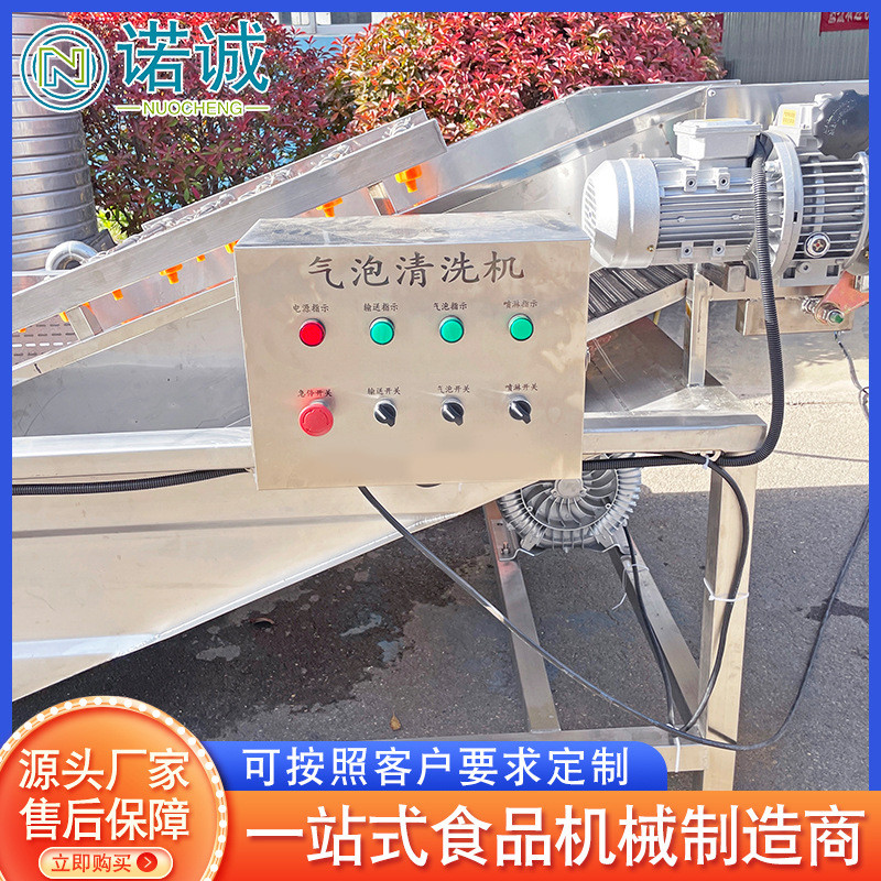 香菇清洗流水线多功能水果气泡清洗机蔬菜预处理清洗加工设备