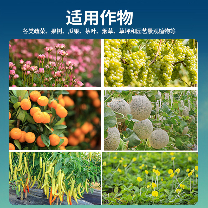 海藻精水产农业有机肥料高含量海藻精叶面土壤改良水溶肥批发