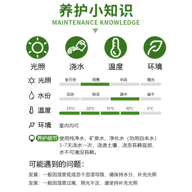 【麋鹿】森林diy植物盆栽青苔藓微景观生态缸成品创意桌面大造景