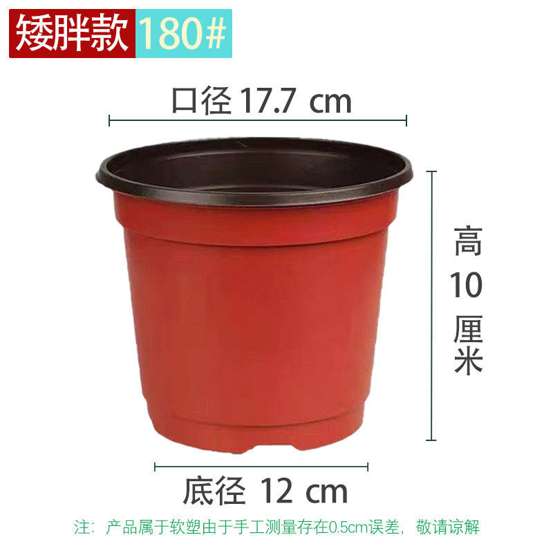 双色育苗花盆营养钵种植塑料一次性花盆育苗盆大号多肉绿植育苗杯