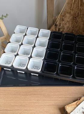 24格托架7cm阳台彩色叶插景天多肉育苗塑料花盆花架简约白色