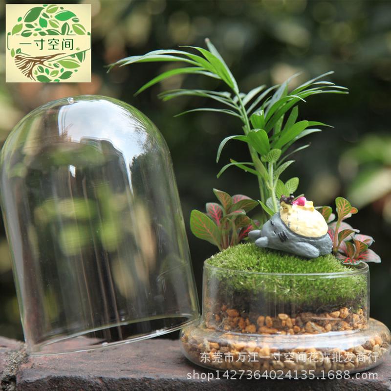苔藓微景观微景观时刻diy创意礼品休闲套装摆件