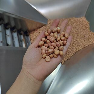 大型全自动机器炒锅盐焗炒腰果机器全自动炒腰果流水线原味腰果