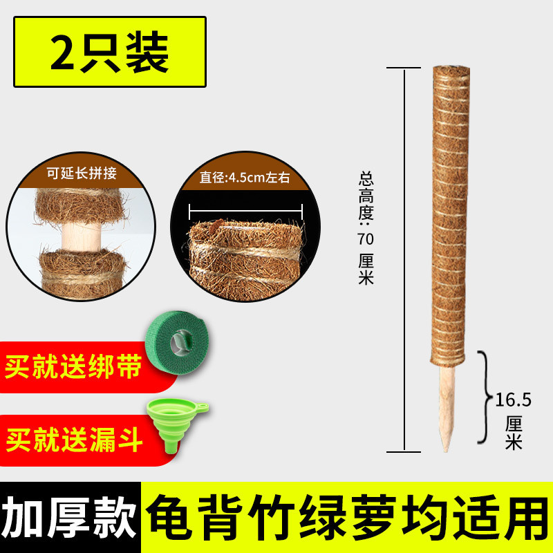 椰绿萝棒绿箩固定架架支撑杆棕榈植物爬藤花椰棕丝柱攀爬柱龟背竹