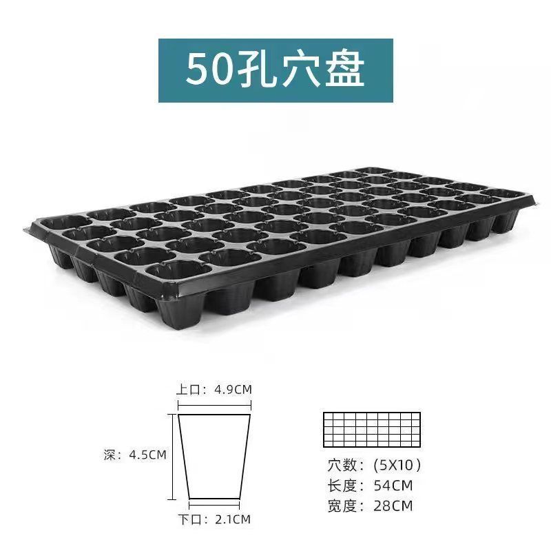 育苗盘加厚穴培育托盘育秧盘加深盘盘西红柿辣椒玉米育种扦插多肉