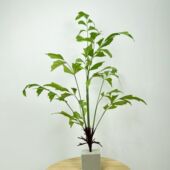 仿真桫椤叶蕨蕨类鱼尾叶蕨叶山芒蕨叶波斯草排草把束假叶植物墙