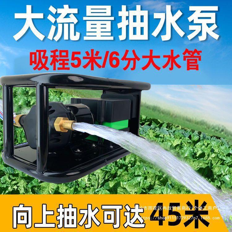 农用24浇菜大功率水泵家用抽水直流电动充电式自吸v12v抽水机