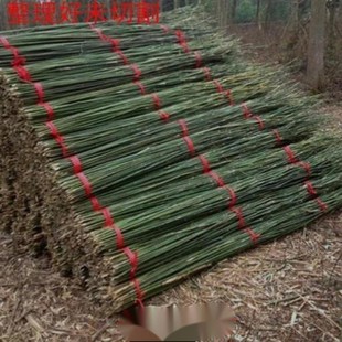 防腐批发竹竿装饰白黄粗细竹竿子豆角菜园黄瓜搭架菜架竹旗杆楠竹