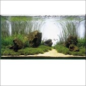 鱼缸背景灯板造景鱼缸高亮控制板水草缸草缸板app厂家增色