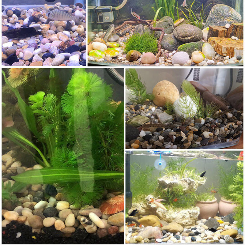 地暖豆石迷你汗蒸雨花鹅卵石鱼缸过滤石头园林铺路造景小石子装修