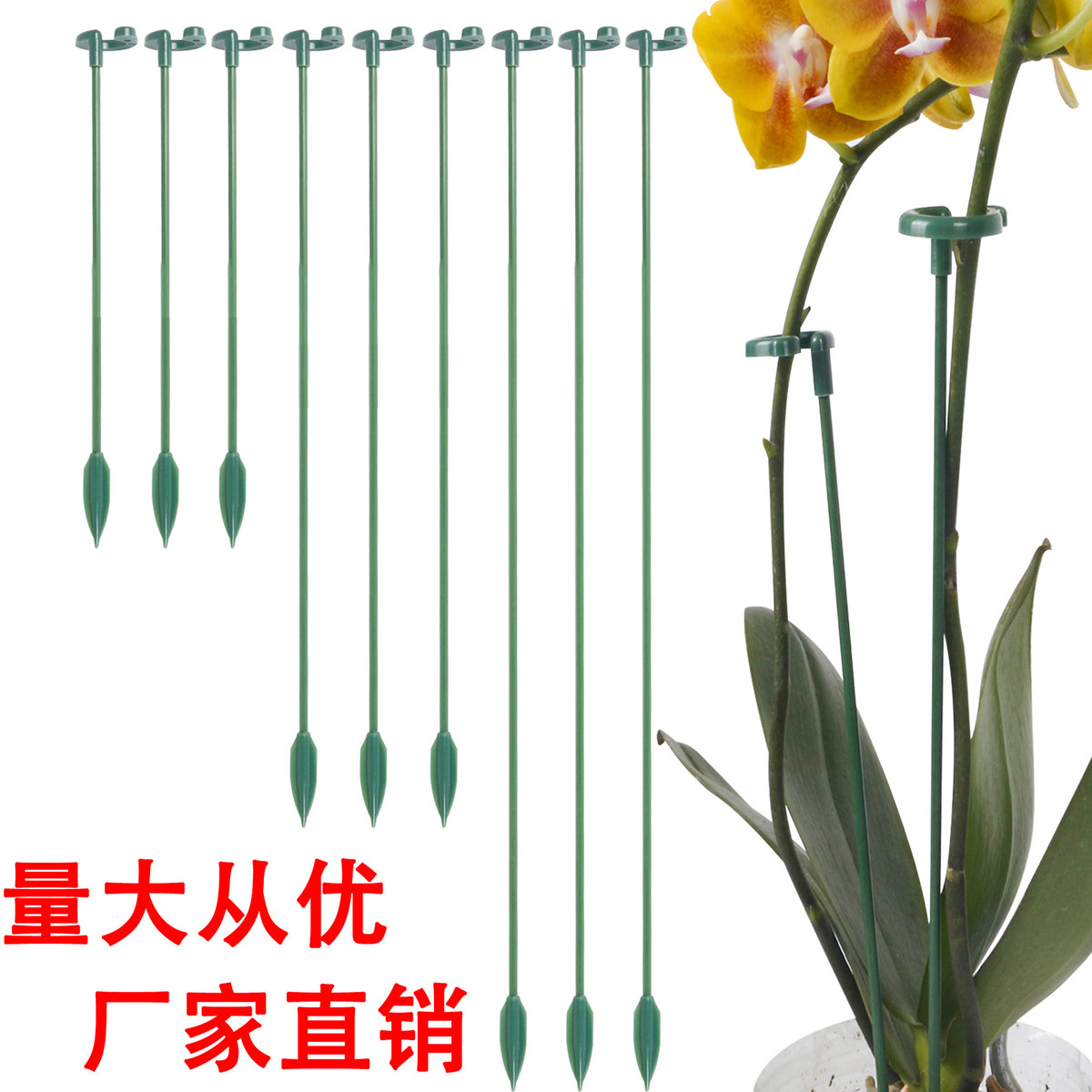 园艺盆景支撑杆花藤带勾叉蝴蝶兰支架花卉植物固定杆子盆栽保护架