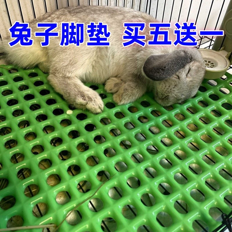兔子脚垫防啃咬兔笼底板漏粪板笼子垫子垫脚网塑料垫板兔用笼底网
