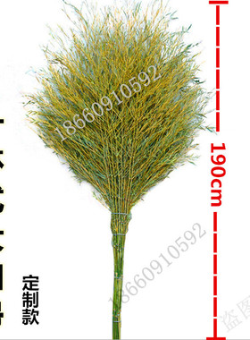 s83v大扫把竹扫帚扫地马路庭院竹子院子塑料丝家用大号单个扫室外