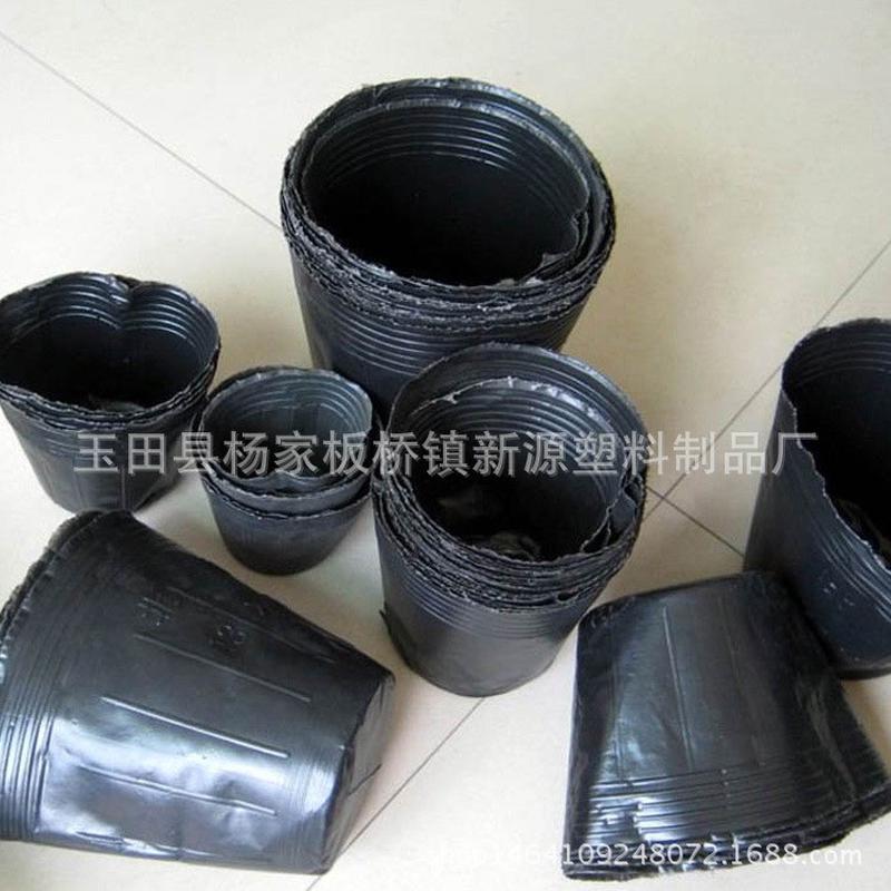 营养钵花卉苗木供应16x14营养杯批发育苗杯厂家育苗袋批发