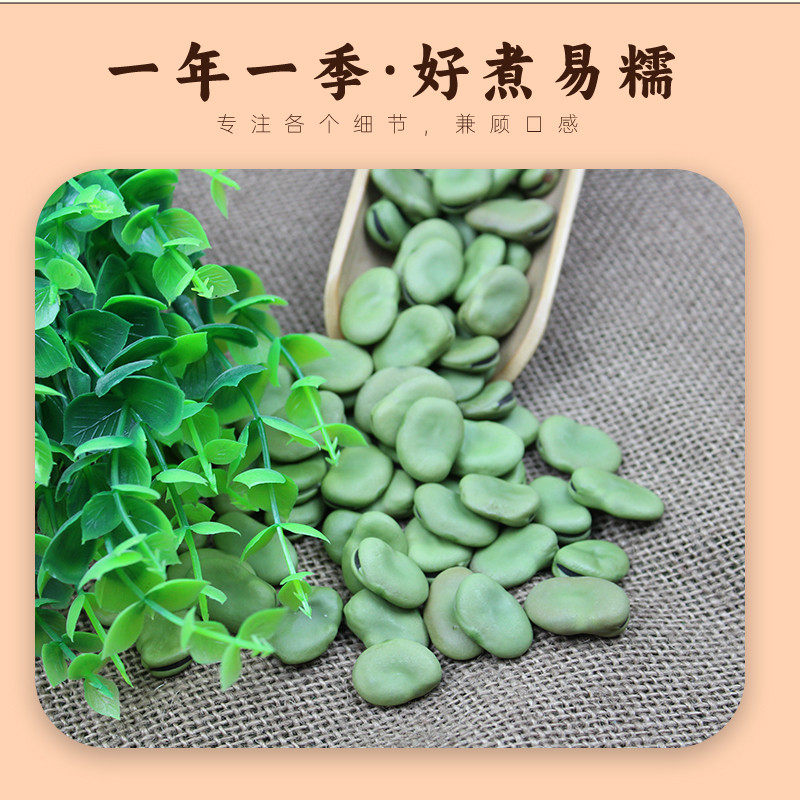 当年干蚕豆5斤绿大粒青皮新货 农家新鲜晒干生老品种胡豆兰花豆