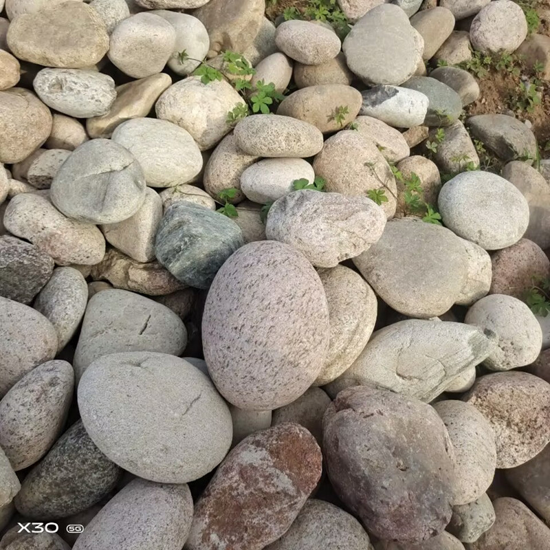 热销鹅卵石批发滤大块鹅卵石变压器事故油池用5-8cm鹅卵石园林绿